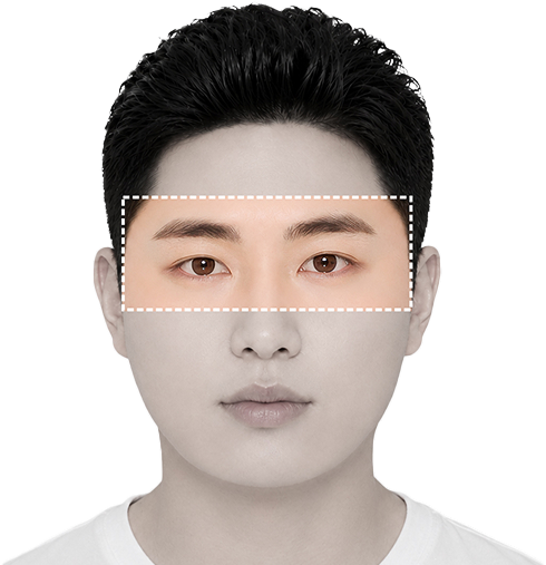둥근형