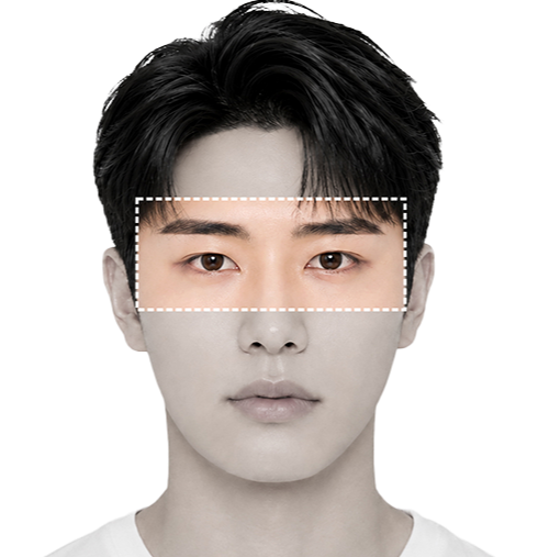 둥근형