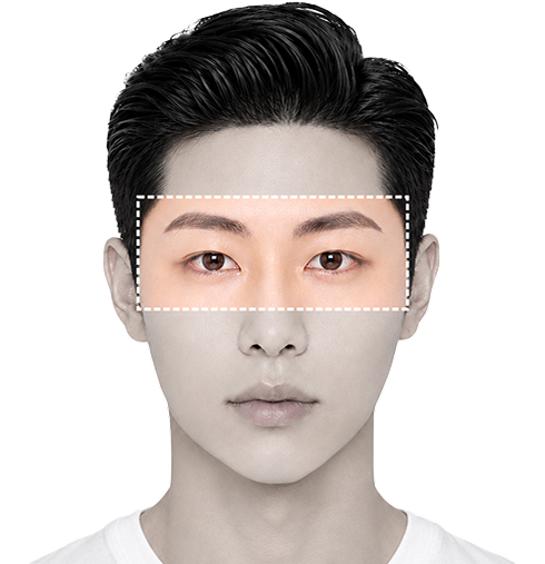 둥근형